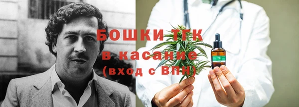 ешки Алексеевка