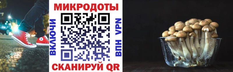Псилоцибиновые грибы Psilocybine cubensis  MEGA зеркало  Оса 