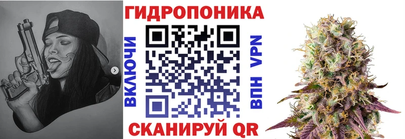 наркота  MEGA ТОР  Конопля сатива  Оса 